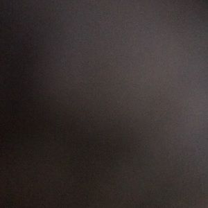 Meet your Posher, Bella